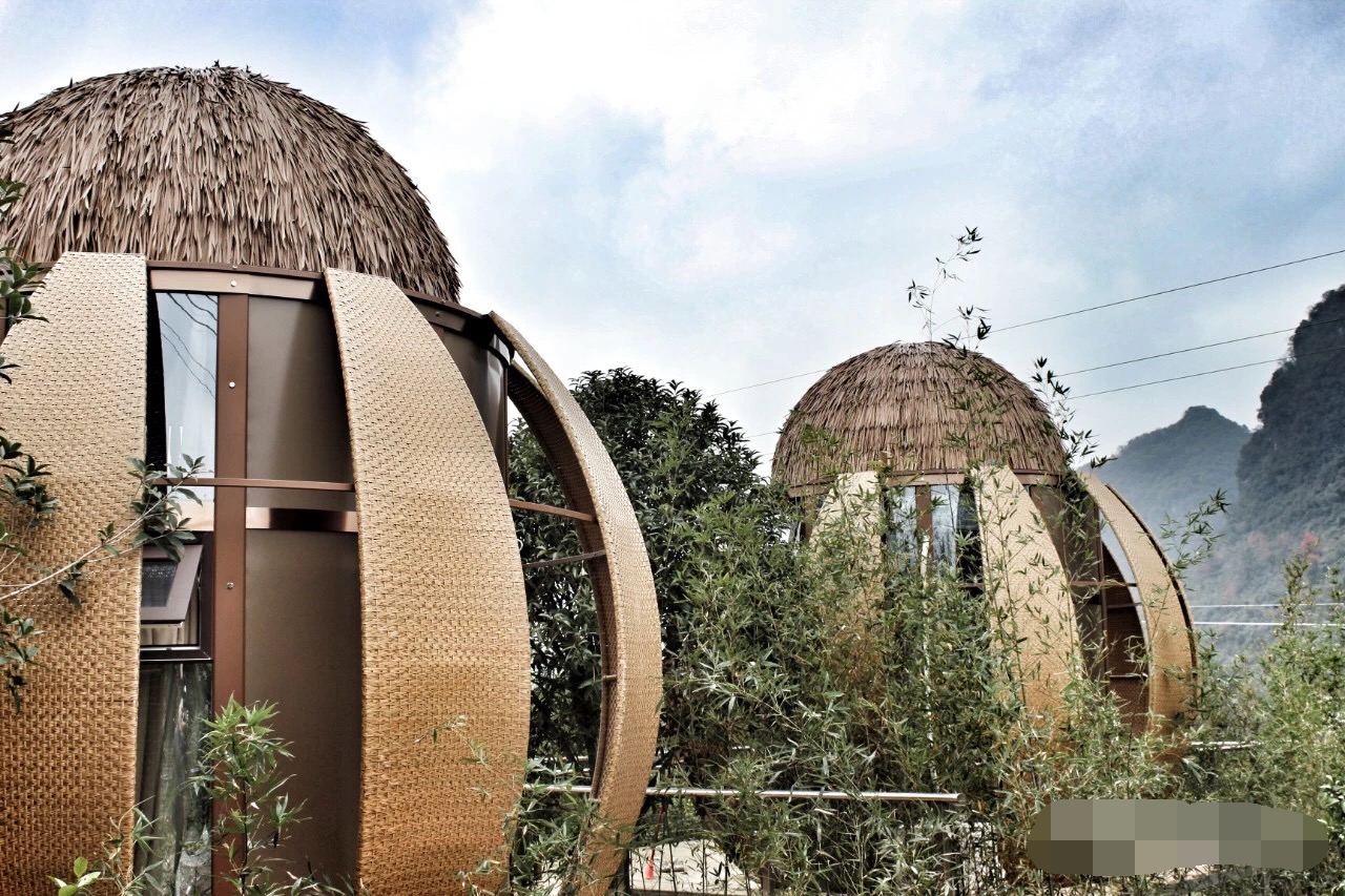 ľ�ݱ�����ס������ľ�ݵ����ƺ����������Щ?