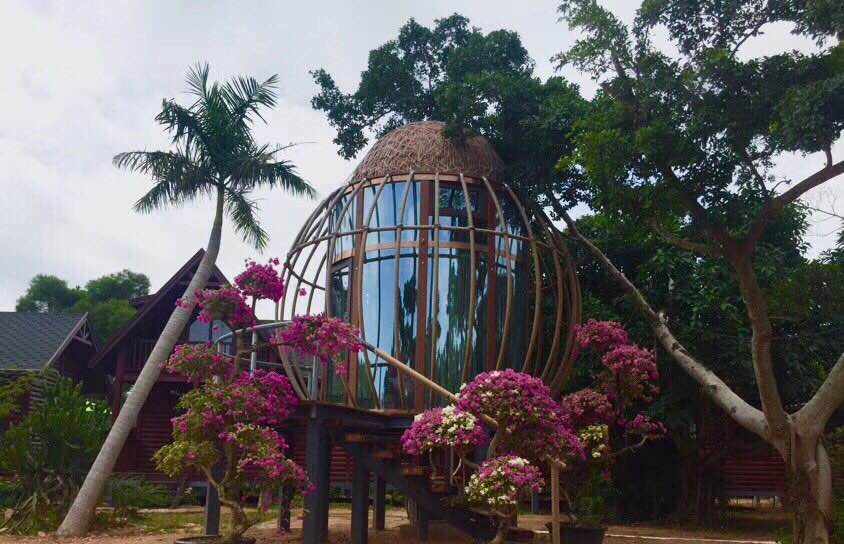 ľ���ܷ��÷���ľ����