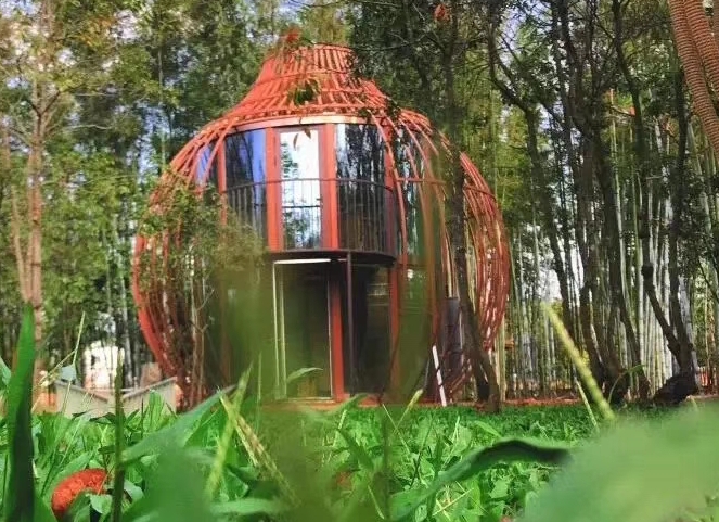 �������ľ�ݵ�����